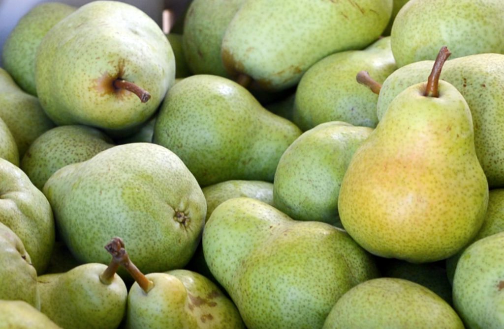 It’s Still Peak California Pear Season California Pears