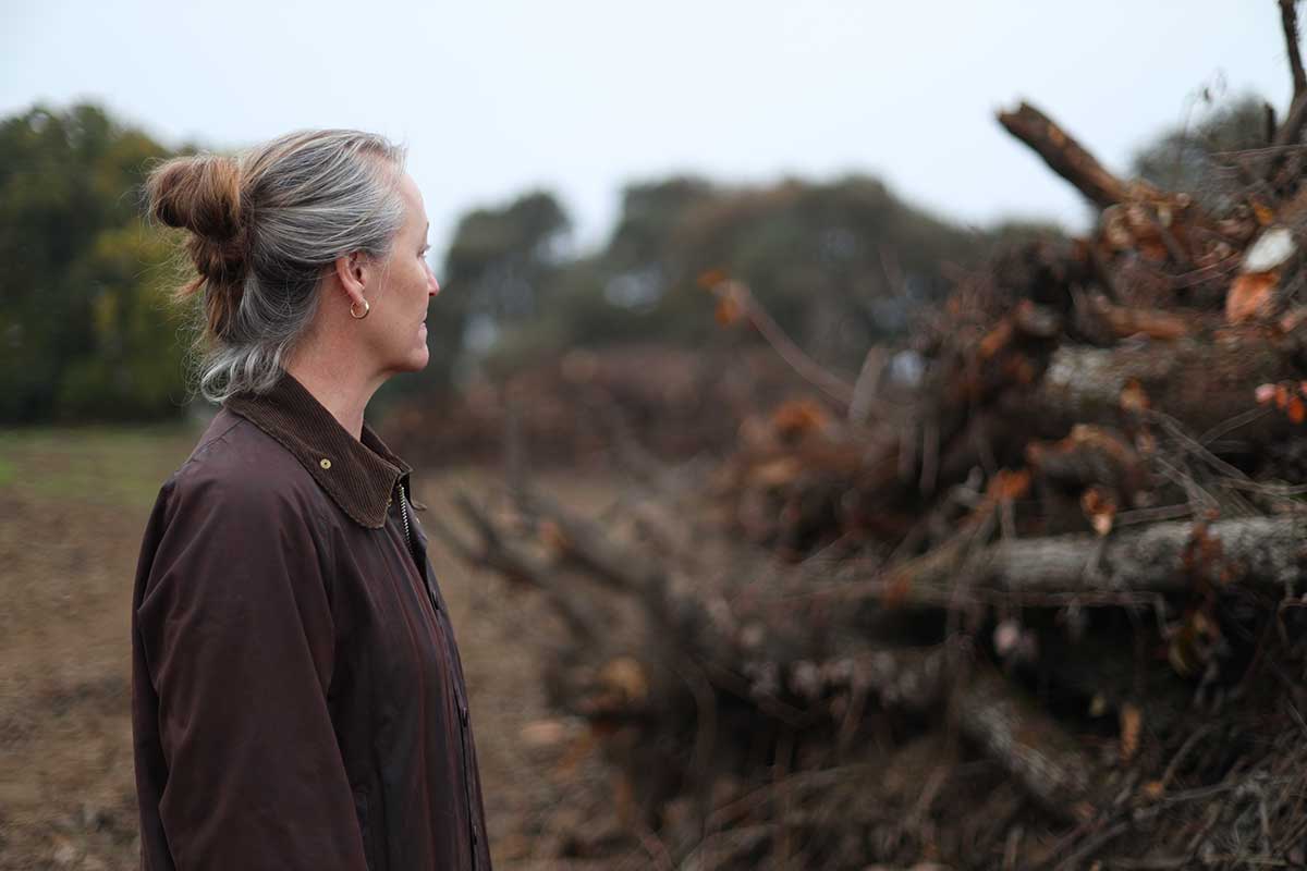 Virginia-Hemly-Chhabra